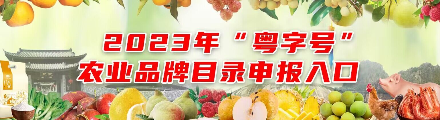 “粤字号”农业品牌目录申报入口
